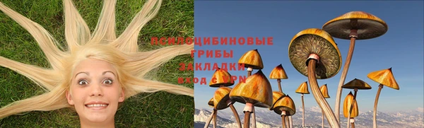 круглые Богородицк