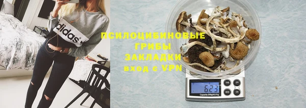 стаф Богданович