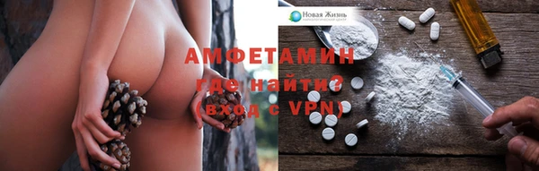 стаф Богданович