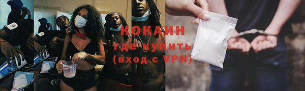 стаф Богданович