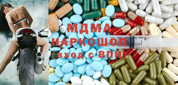 стаф Богданович