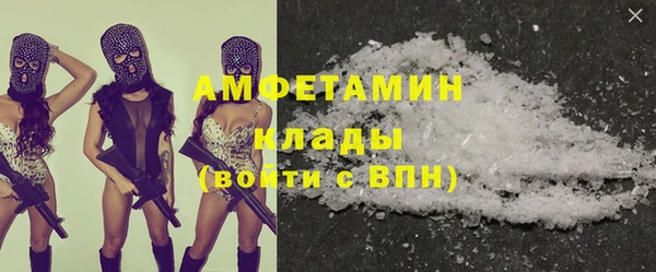 стаф Богданович