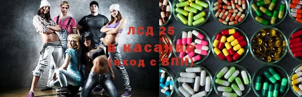 стаф Богданович