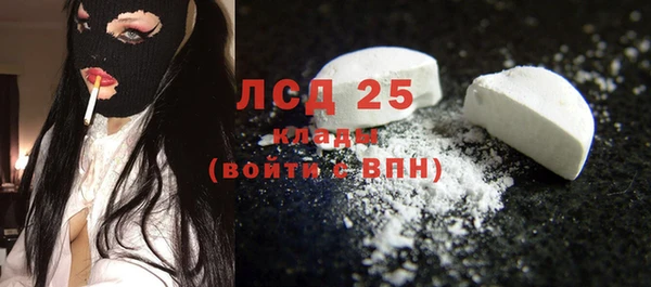 стаф Богданович