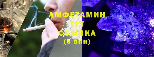 стаф Богданович