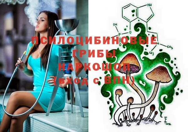 стаф Богданович